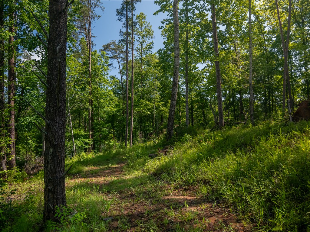00 Old Keowee Church Road, Six Mile, South Carolina image 37