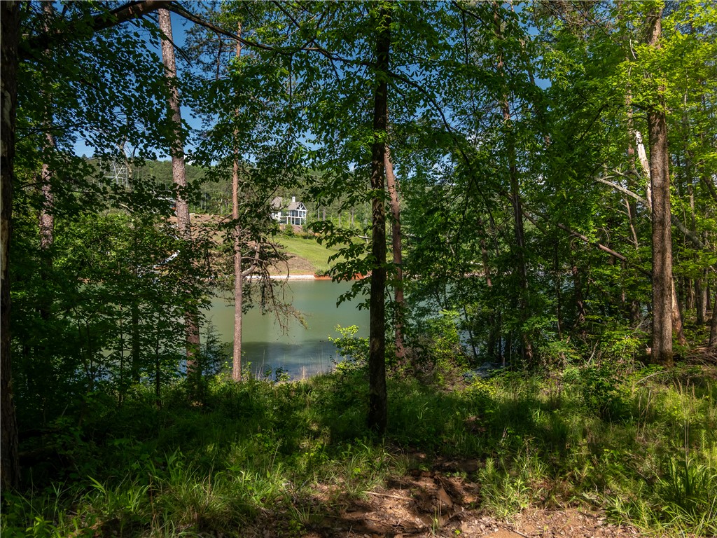 00 Old Keowee Church Road, Six Mile, South Carolina image 33