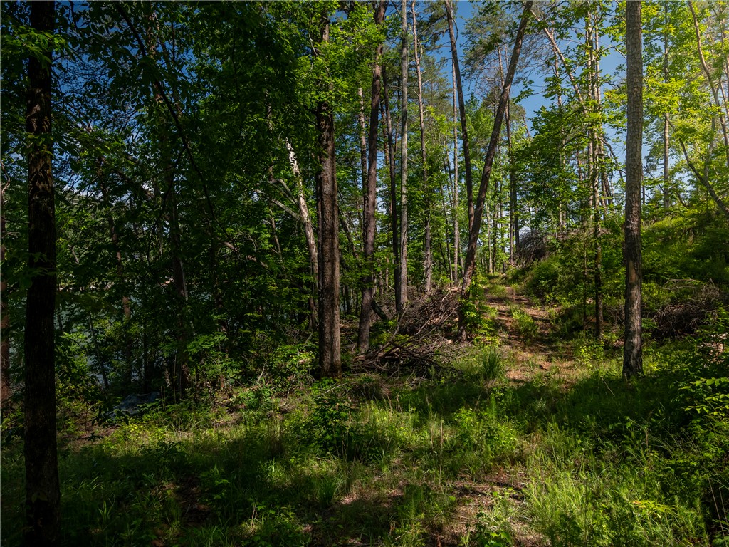 00 Old Keowee Church Road, Six Mile, South Carolina image 34