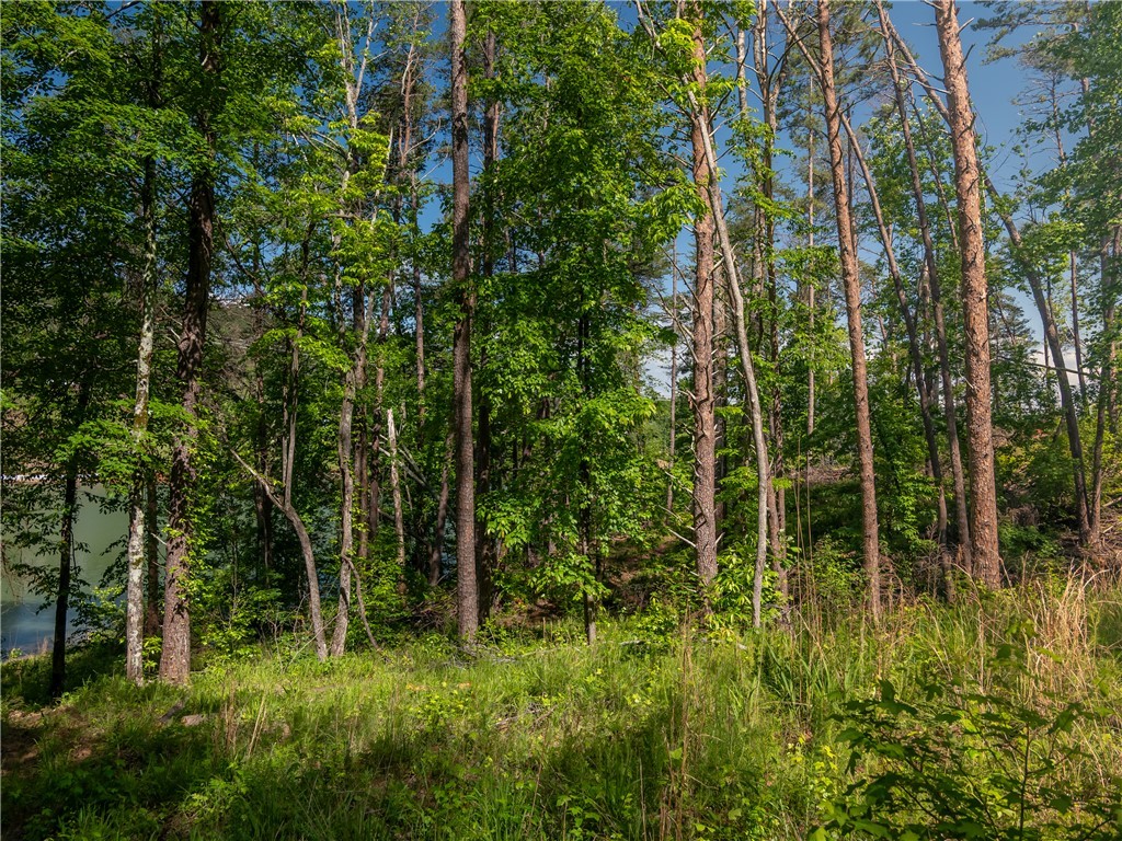 00 Old Keowee Church Road, Six Mile, South Carolina image 32