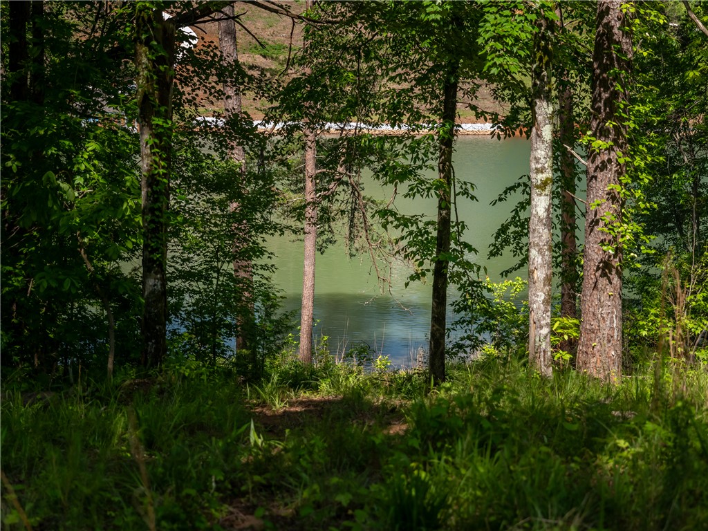 00 Old Keowee Church Road, Six Mile, South Carolina image 31