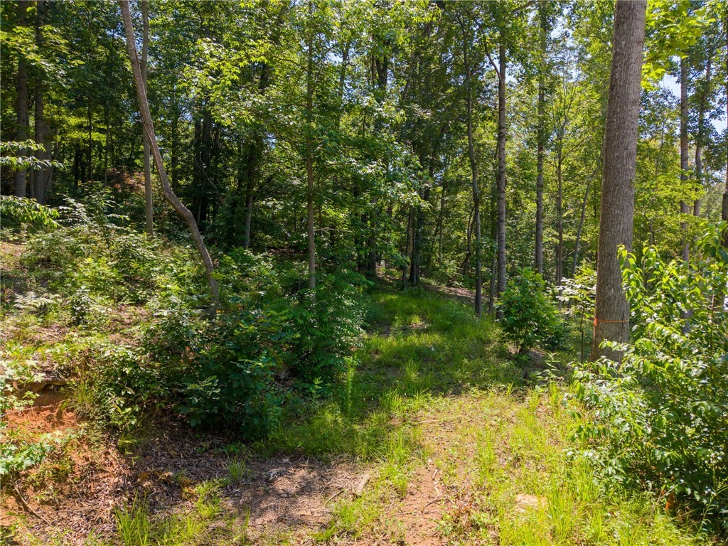 507 Viewpoint Court #22, Seneca, South Carolina image 15