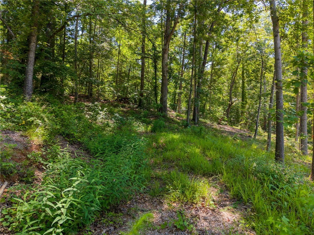 507 Viewpoint Court #22, Seneca, South Carolina image 16