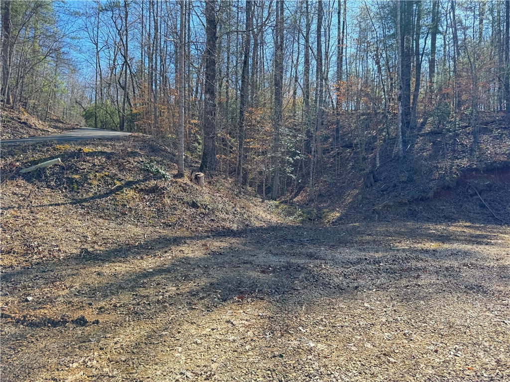 00 Bear Boulevard, Tamassee, South Carolina image 19