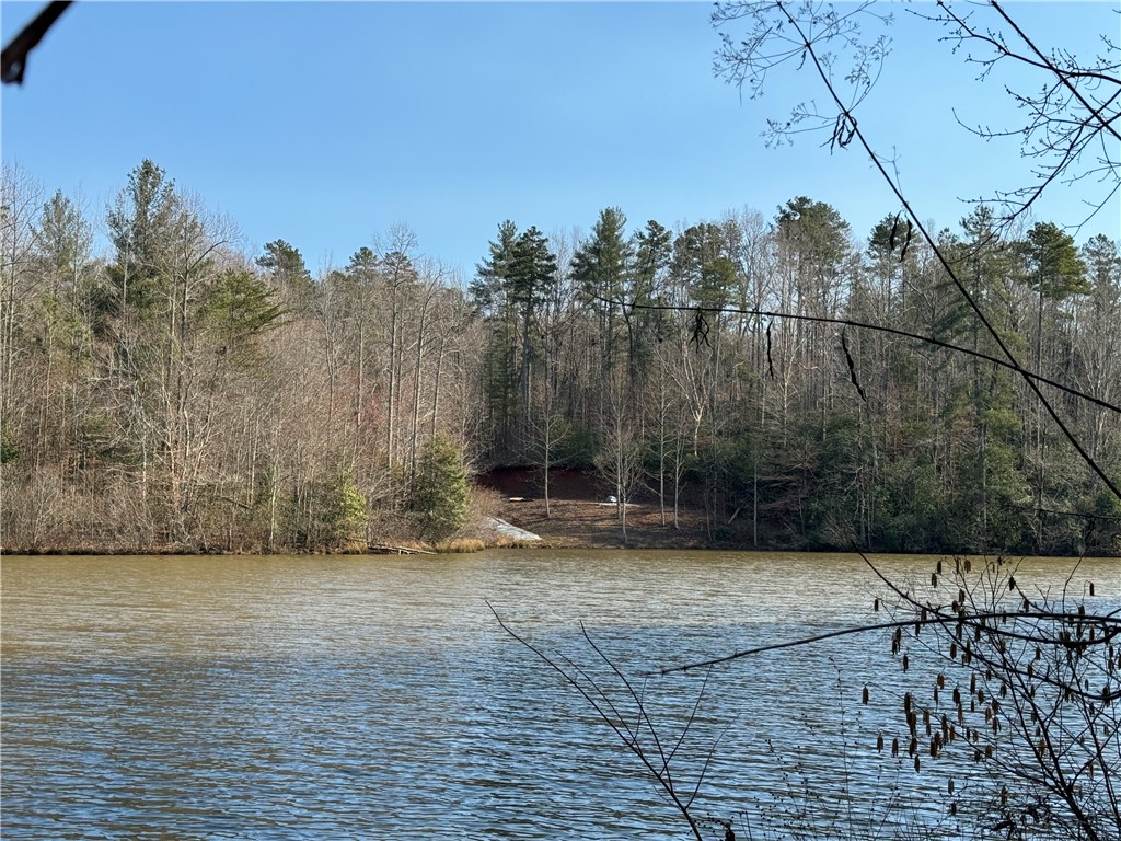 00 Bear Boulevard, Tamassee, South Carolina image 5