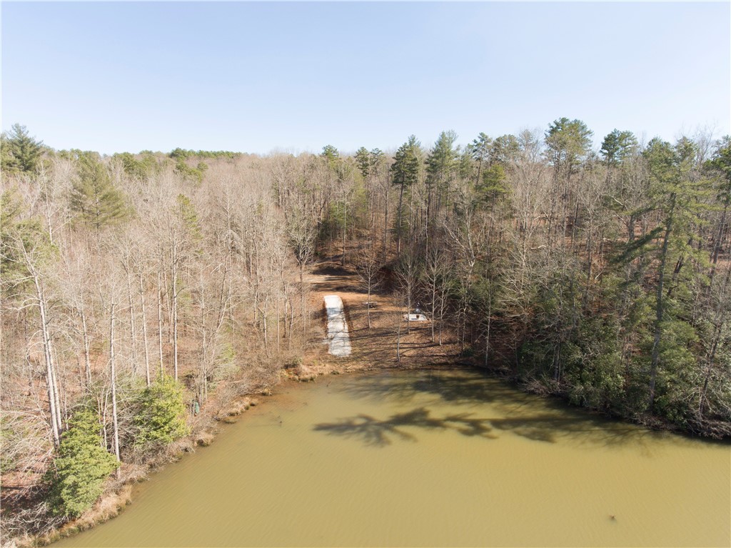 00 Bear Boulevard, Tamassee, South Carolina image 4