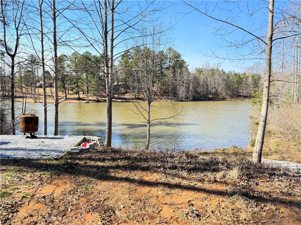 00 Bear Boulevard, Tamassee, South Carolina image 1