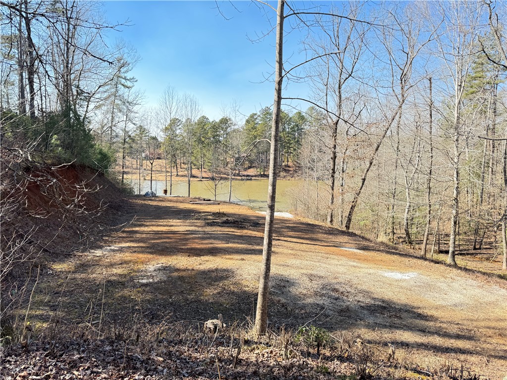 00 Bear Boulevard, Tamassee, South Carolina image 22