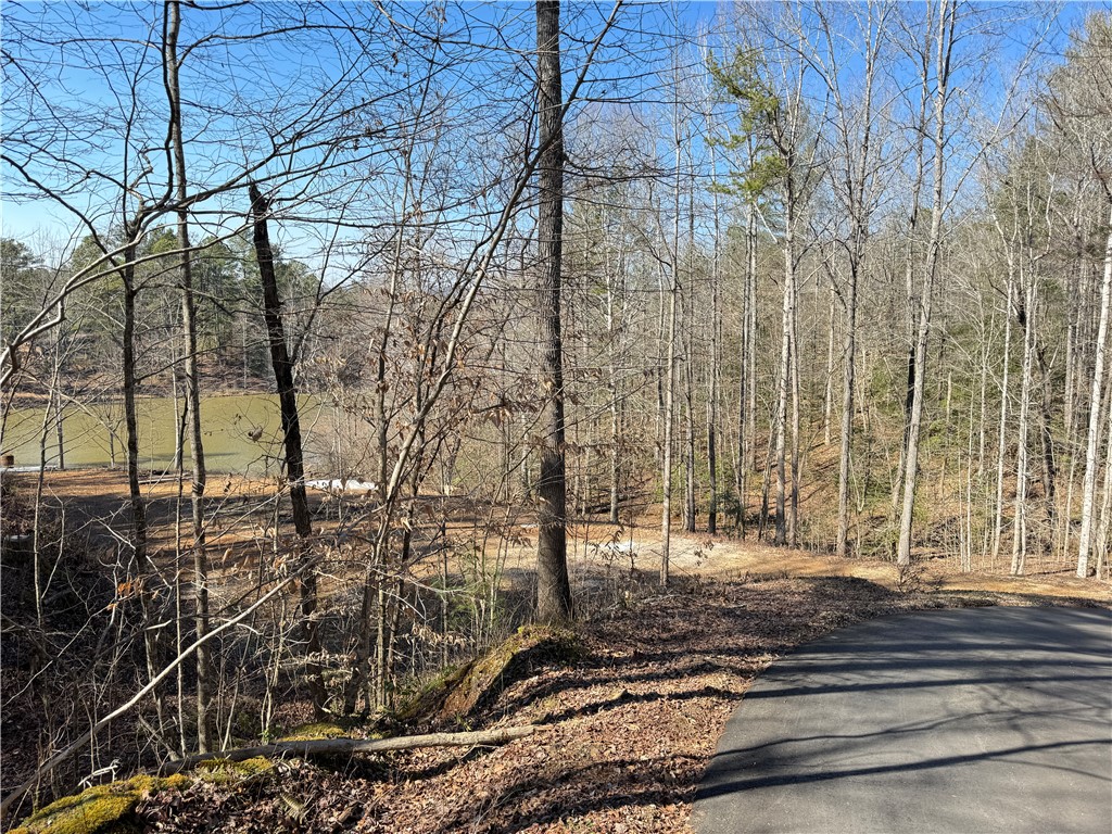 00 Bear Boulevard, Tamassee, South Carolina image 23