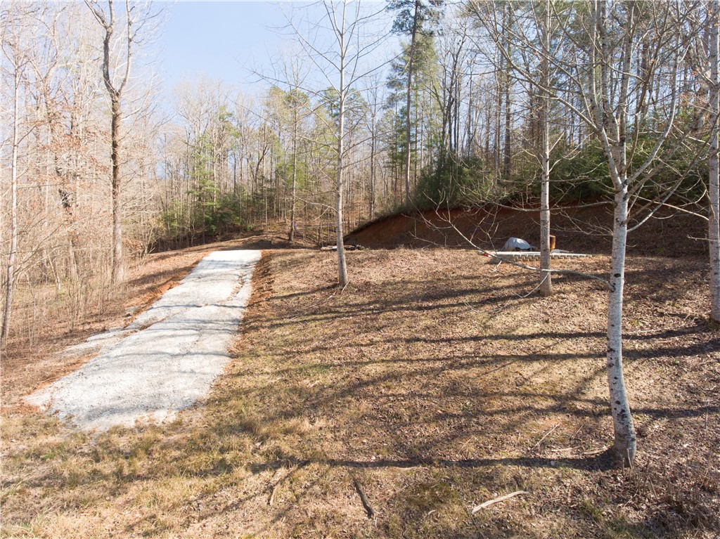 00 Bear Boulevard, Tamassee, South Carolina image 16