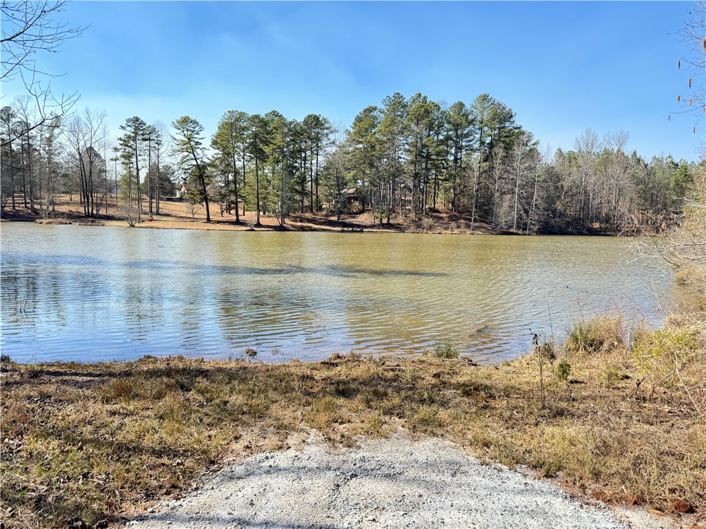 00 Bear Boulevard, Tamassee, South Carolina image 6