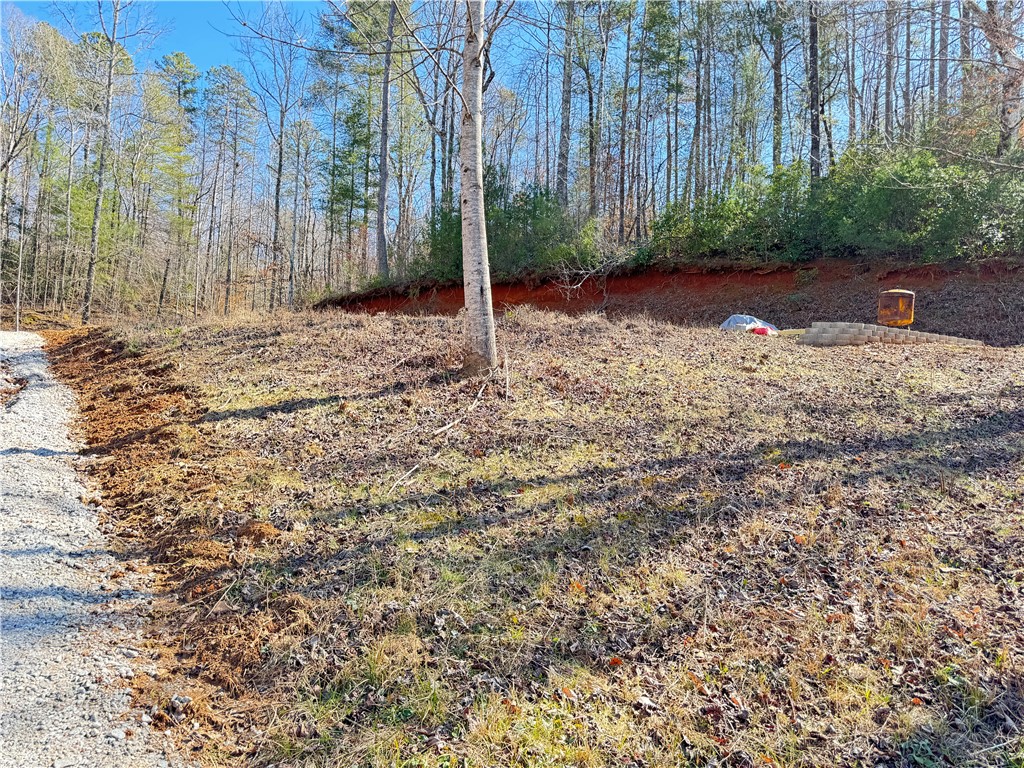 00 Bear Boulevard, Tamassee, South Carolina image 10