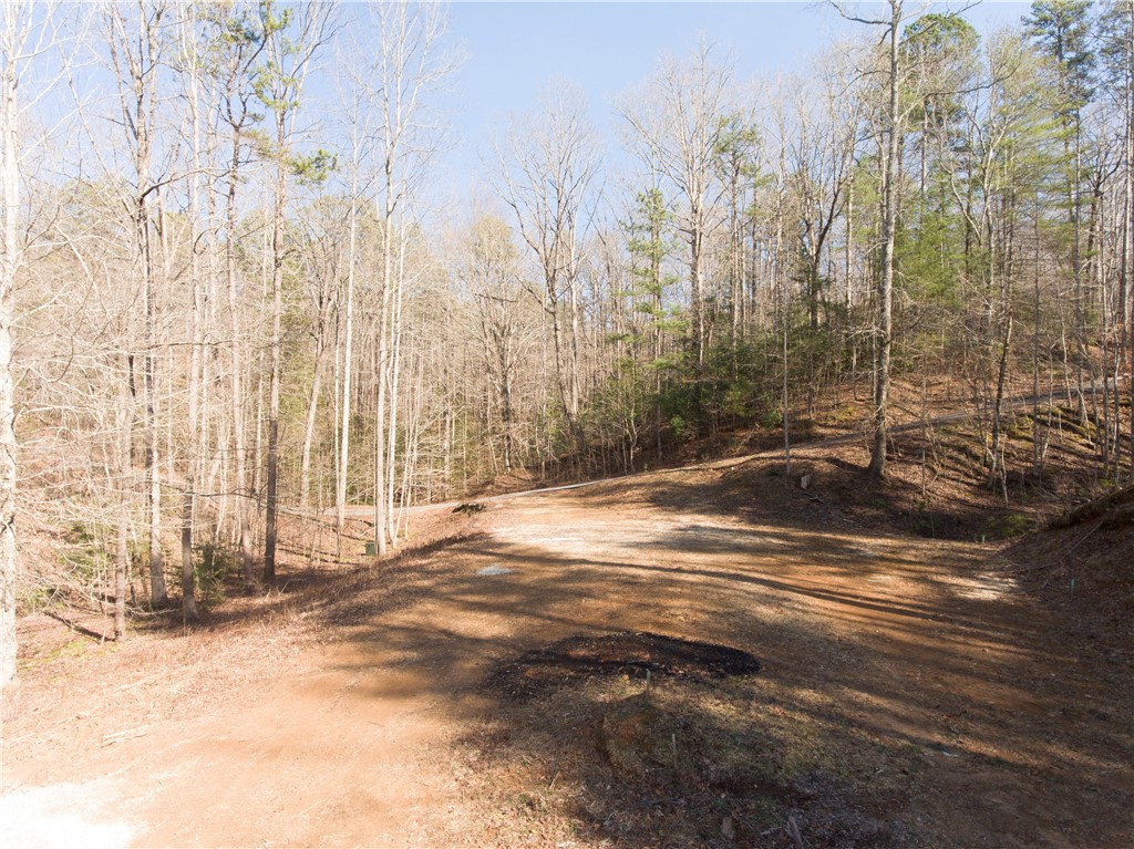 00 Bear Boulevard, Tamassee, South Carolina image 11