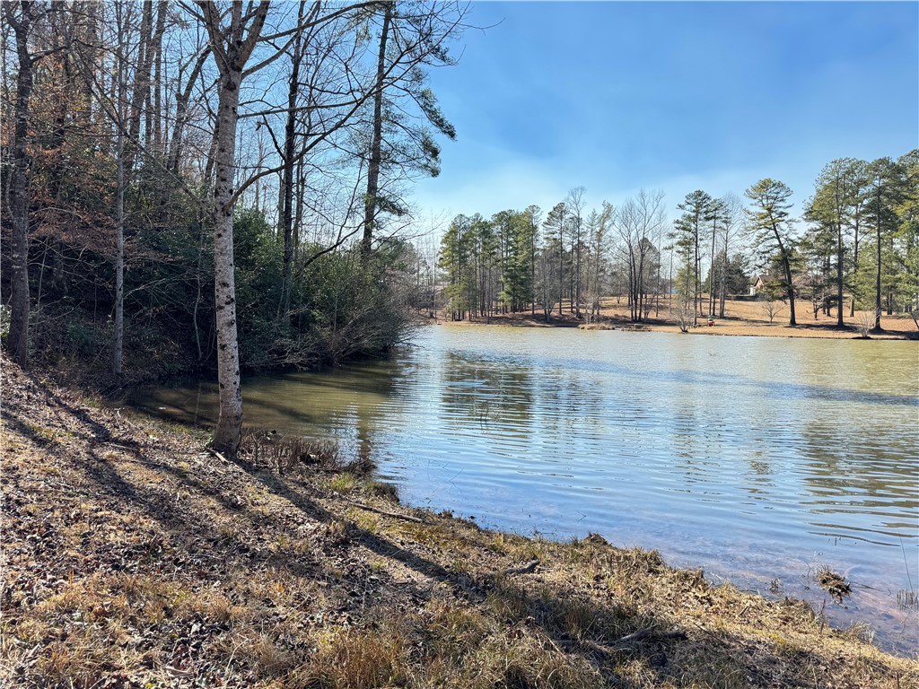 00 Bear Boulevard, Tamassee, South Carolina image 7