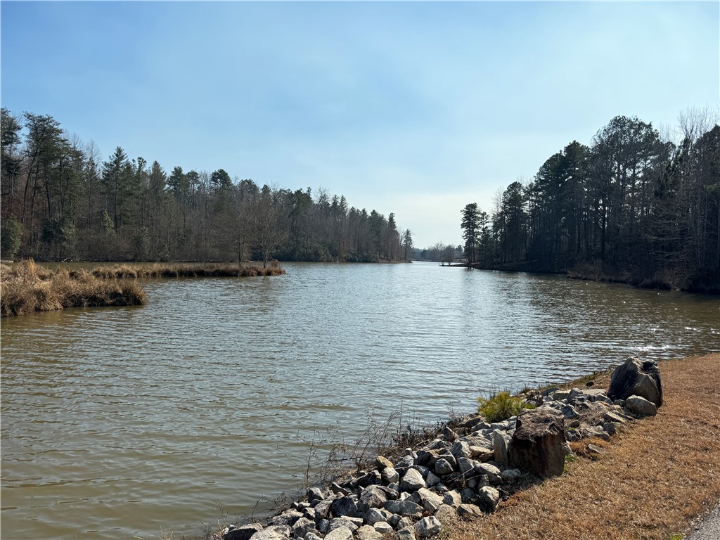 00 Bear Boulevard, Tamassee, South Carolina image 26