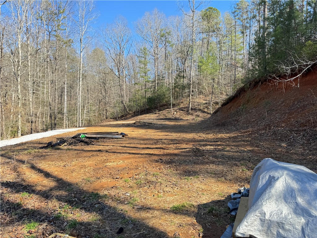 00 Bear Boulevard, Tamassee, South Carolina image 9