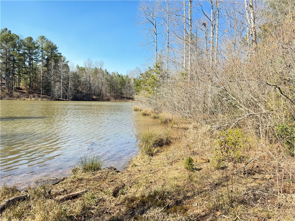 00 Bear Boulevard, Tamassee, South Carolina image 8