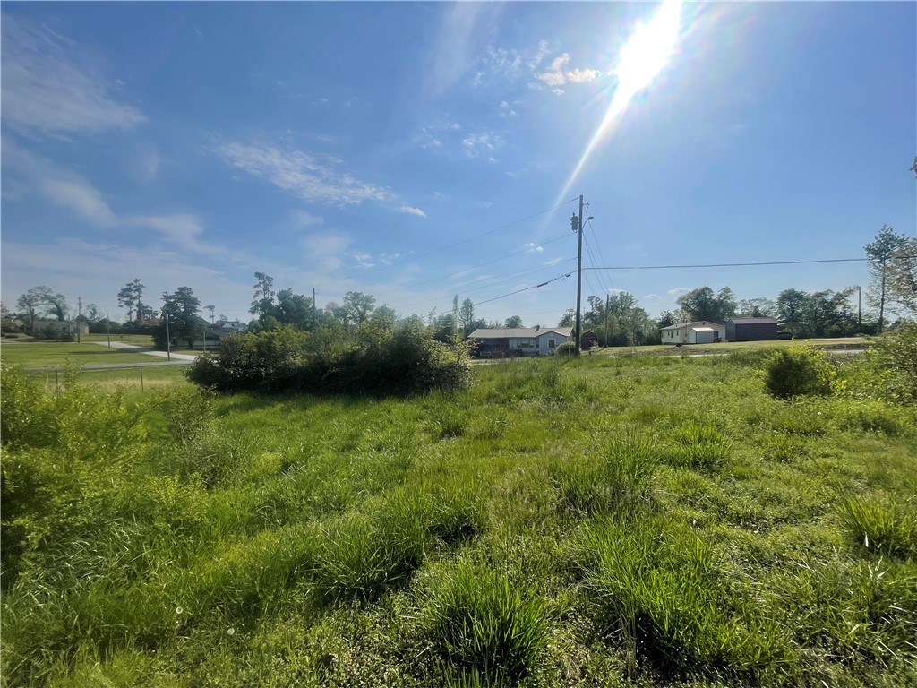 Lot 4 S. Townville Street, Seneca, South Carolina image 4
