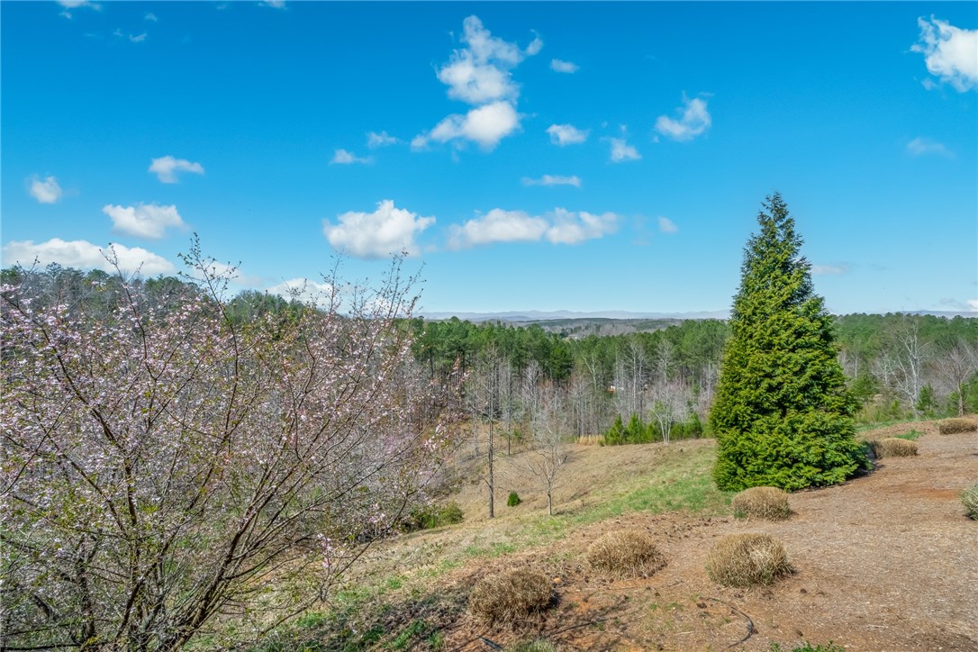127 Button Bush Trail, Six Mile, South Carolina image 24
