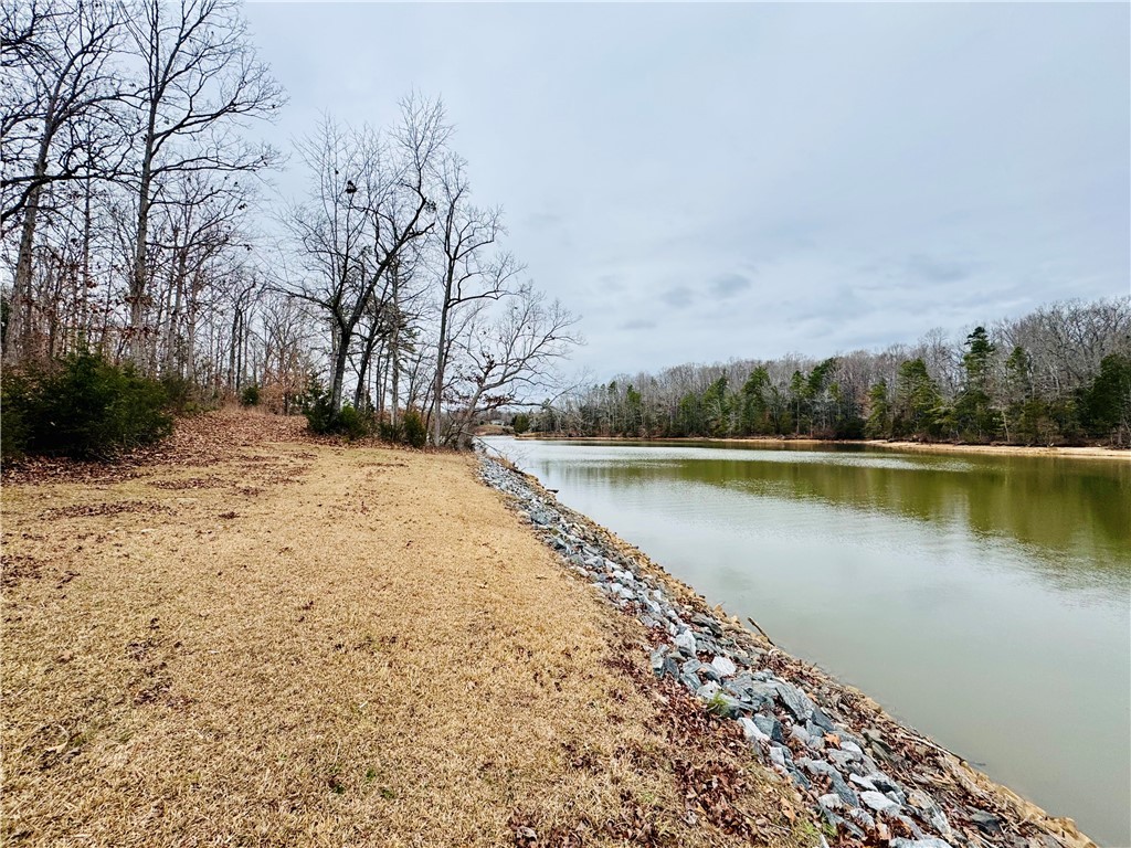 407 Black Road, Abbeville, South Carolina image 33