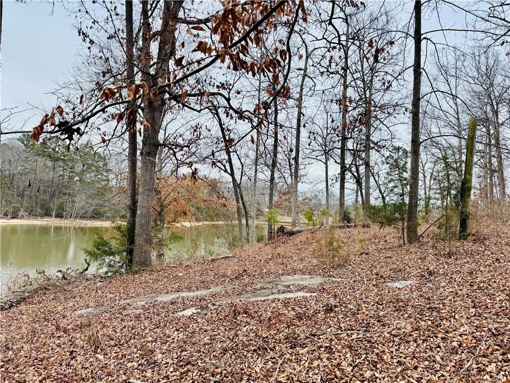 407 Black Road, Abbeville, South Carolina image 38