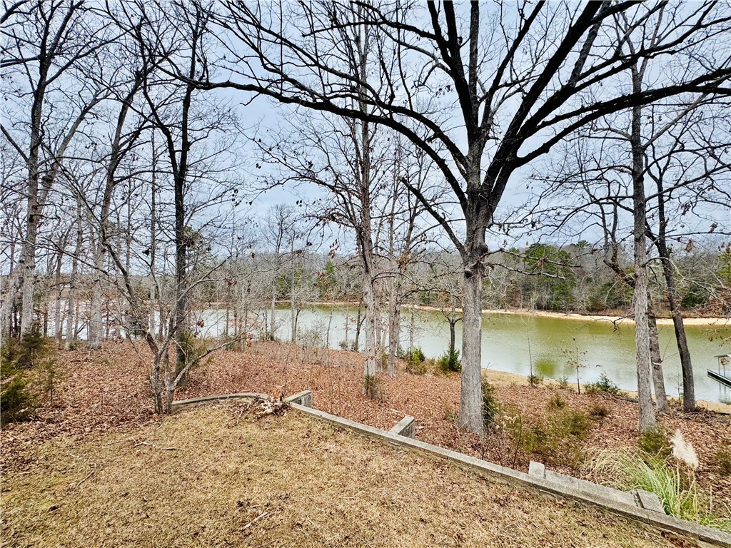407 Black Road, Abbeville, South Carolina image 39