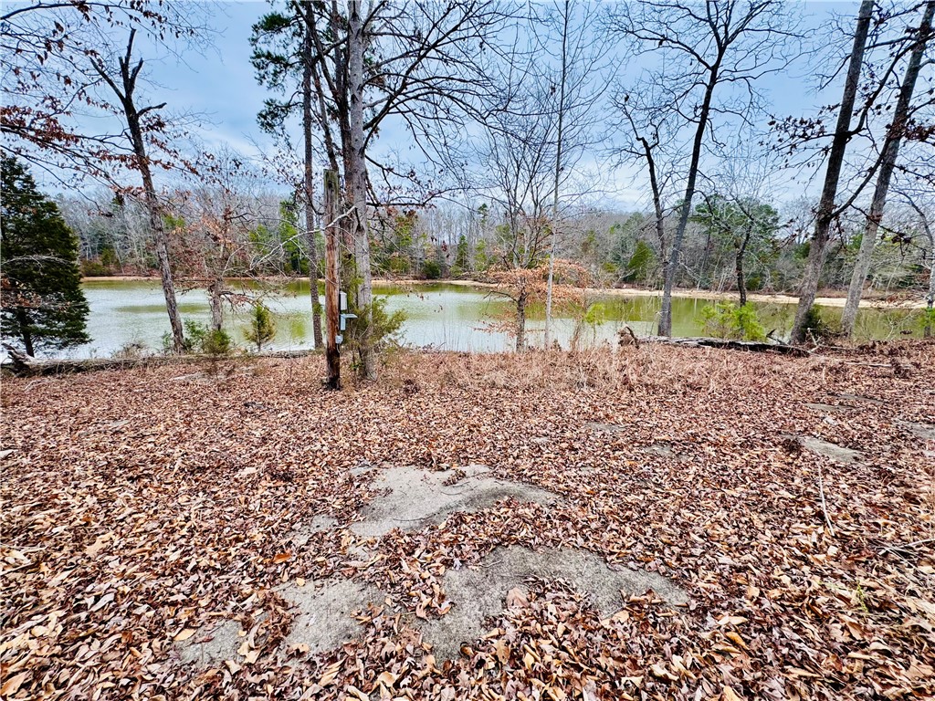 407 Black Road, Abbeville, South Carolina image 40