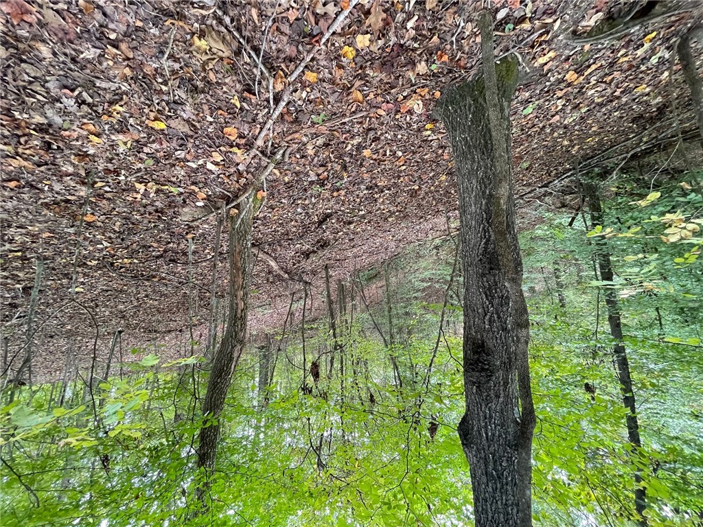Photo 1 of 26 — Lot 296 Chickasaw Point Oconee Avenue, Westminster, SC 29693
