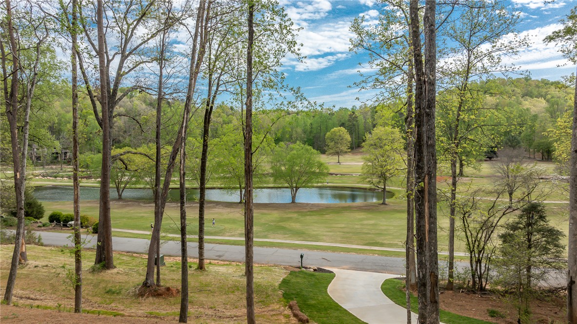 241 Sliding Rock Road, Pickens, South Carolina image 13