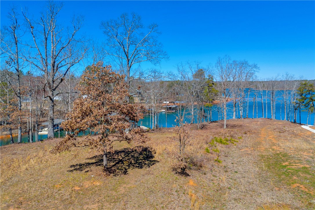 59 Yacht Club Point, Hartwell, Georgia image 28