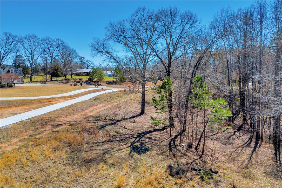 59 Yacht Club Point, Hartwell, Georgia image 30