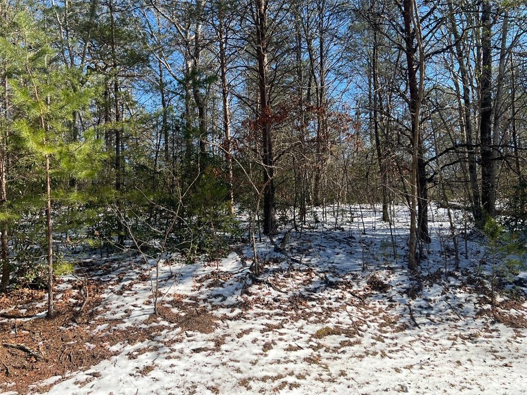 308 Mountain Summit Road, Travelers Rest, South Carolina image 3