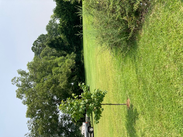 Expansive green yard with mature trees, offering a