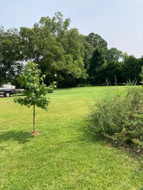 Vacant Land For Sale - 302 Bleckley Street<br/> Anderson, SC 29625