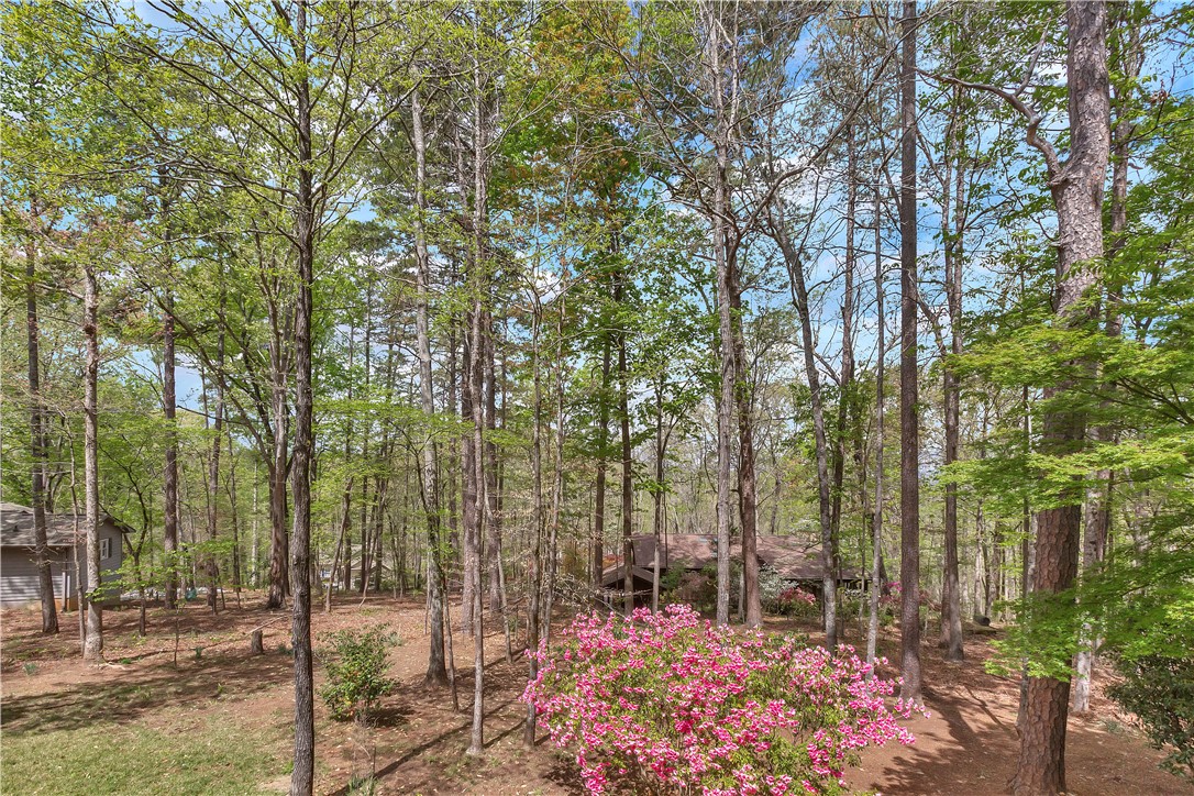 3 Anchorage Lane, Salem, South Carolina image 24