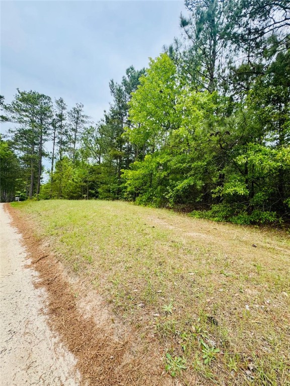 961 28 Bypass, Abbeville, South Carolina image 2
