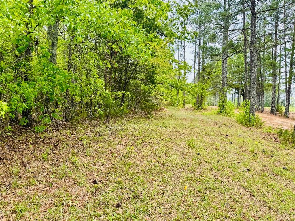 961 28 Bypass, Abbeville, South Carolina image 7