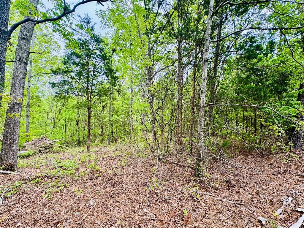 961 28 Bypass, Abbeville, South Carolina image 4