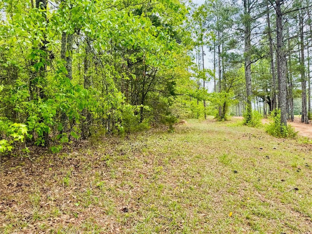 961 28 Bypass, Abbeville, South Carolina image 6