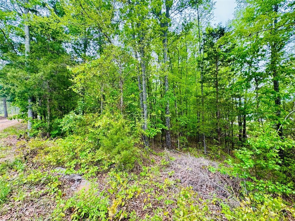 961 28 Bypass, Abbeville, South Carolina image 3