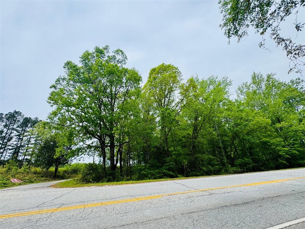 961 28 Bypass, Abbeville, South Carolina image 1