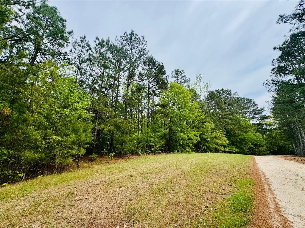 961 28 Bypass, Abbeville, South Carolina image 8