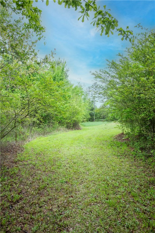 265 Yellow Bell Road, Westminster, South Carolina image 6