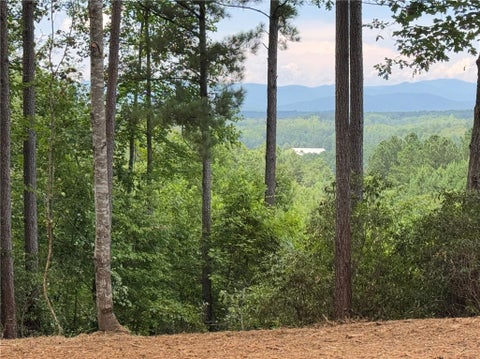 Vacant Land For Sale - 382 Cliffs South Parkway<br/> Salem, SC 29676