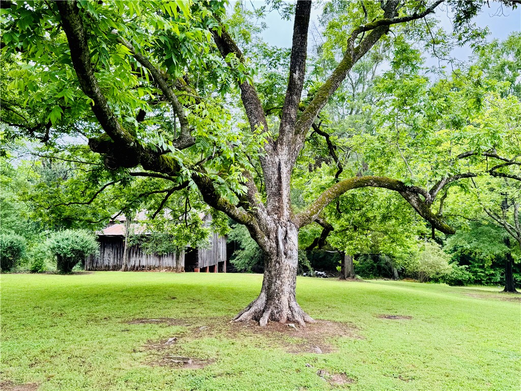 800 Holiday Dam Road, Honea Path, South Carolina image 15