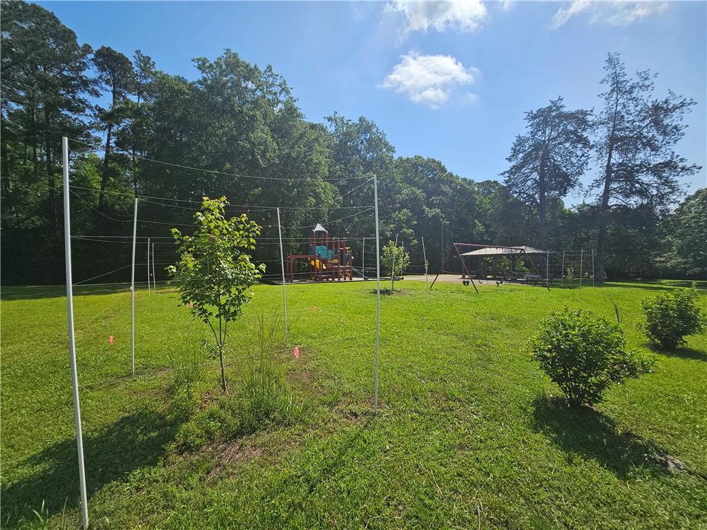 6001 N Mt Vernon Drive, Seneca, South Carolina image 42