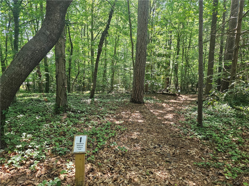 6001 N Mt Vernon Drive, Seneca, South Carolina image 39