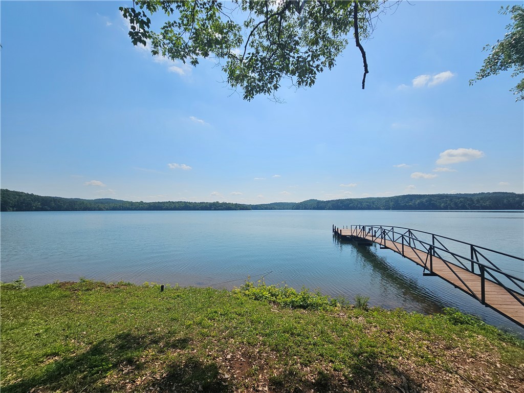 6001 N Mt Vernon Drive, Seneca, South Carolina image 45