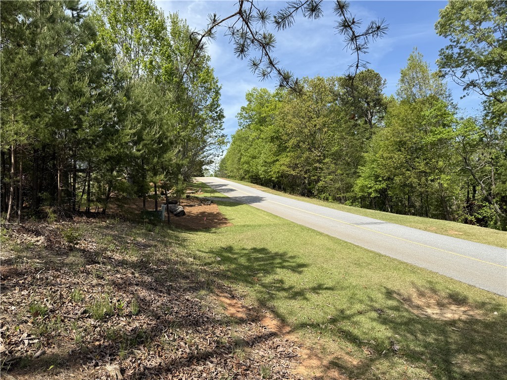 105 Parkview Lane, Sunset, South Carolina image 9