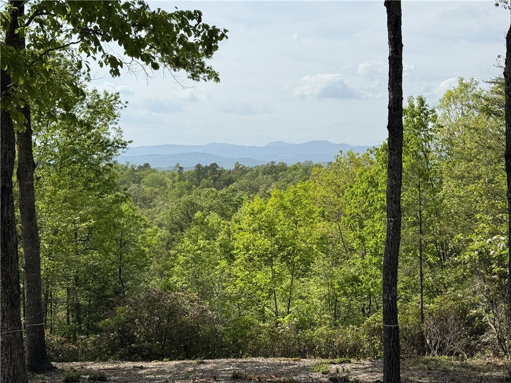 105 Parkview Lane, Sunset, South Carolina image 2